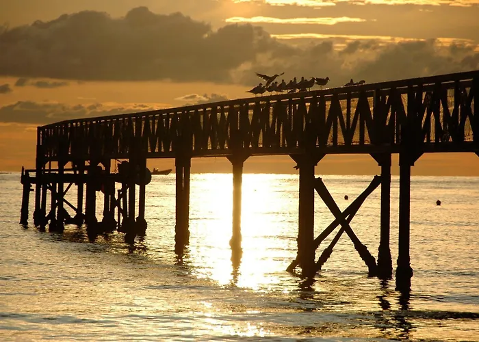 美好阳光酒店 酒店 切塞纳蒂科